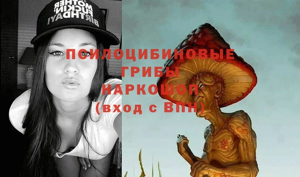 ALPHA PVP Краснослободск
