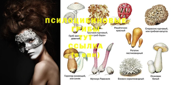 ешки Красноперекопск