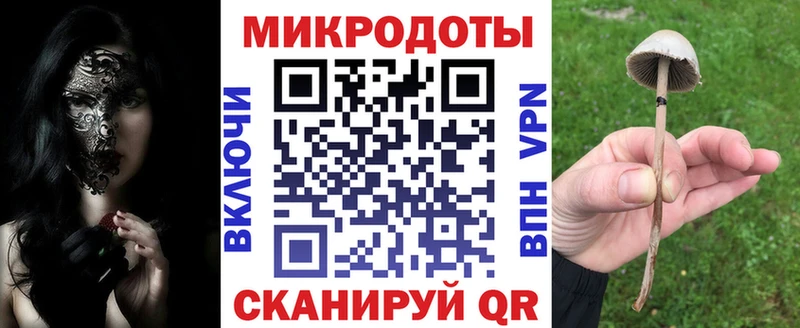 купить  цена  Микунь  Галлюциногенные грибы мицелий 