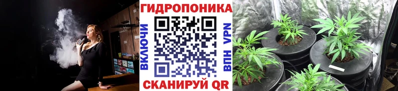 Шишки марихуана THC 21%  Микунь 